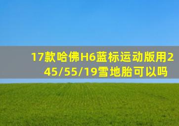 17款哈佛H6蓝标运动版用245/55/19雪地胎可以吗