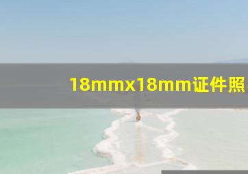 18mmx18mm证件照