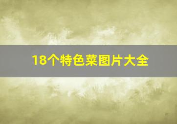 18个特色菜图片大全