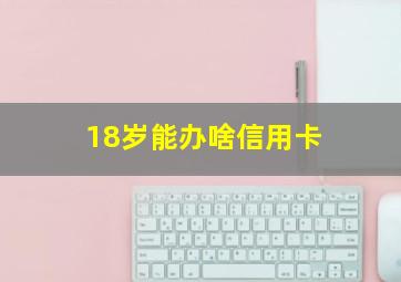 18岁能办啥信用卡