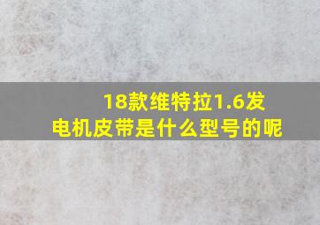 18款维特拉1.6发电机皮带是什么型号的呢