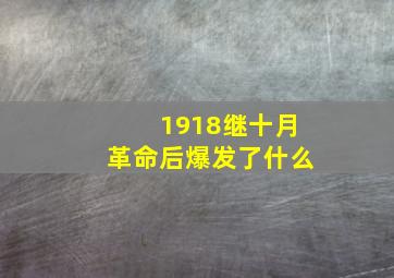 1918继十月革命后爆发了什么