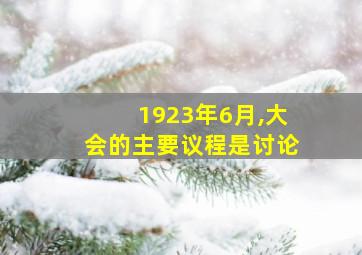 1923年6月,大会的主要议程是讨论