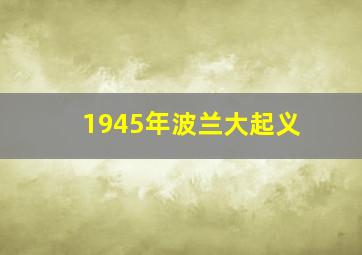 1945年波兰大起义