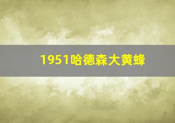 1951哈德森大黄蜂