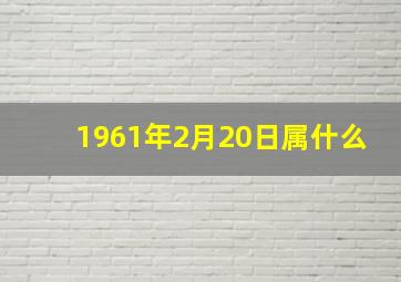 1961年2月20日属什么