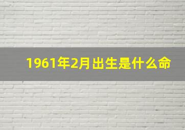 1961年2月出生是什么命