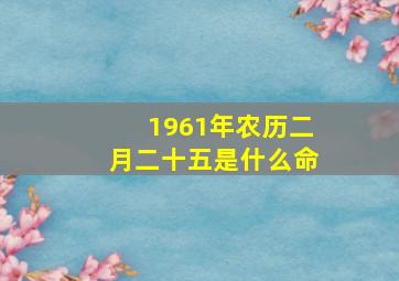 1961年农历二月二十五是什么命