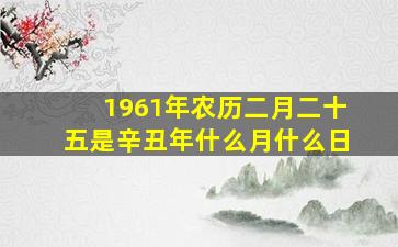 1961年农历二月二十五是辛丑年什么月什么日