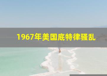 1967年美国底特律骚乱