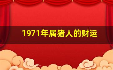 1971年属猪人的财运