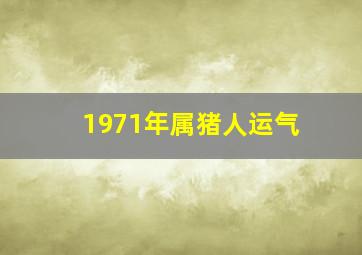 1971年属猪人运气