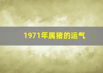 1971年属猪的运气