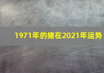 1971年的猪在2021年运势