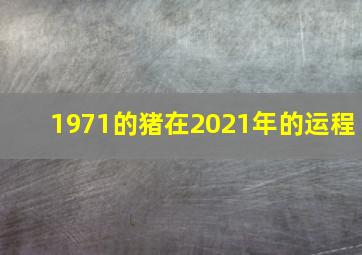 1971的猪在2021年的运程