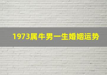 1973属牛男一生婚姻运势