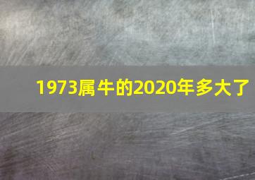 1973属牛的2020年多大了