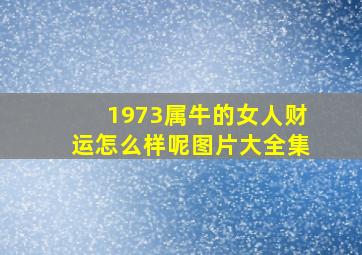 1973属牛的女人财运怎么样呢图片大全集