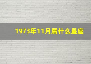 1973年11月属什么星座