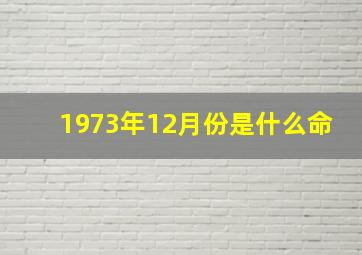 1973年12月份是什么命