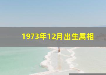 1973年12月出生属相