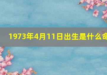 1973年4月11日出生是什么命