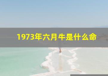 1973年六月牛是什么命