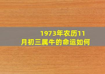 1973年农历11月初三属牛的命运如何