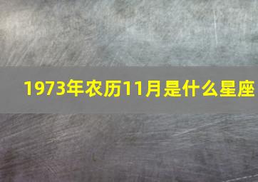 1973年农历11月是什么星座