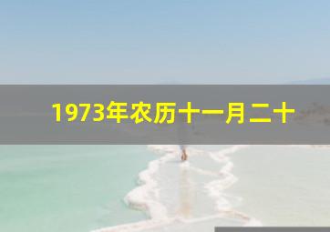 1973年农历十一月二十