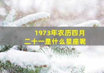 1973年农历四月二十一是什么星座呢