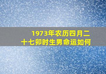 1973年农历四月二十七卯时生男命运如何