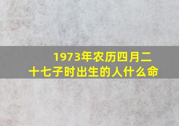 1973年农历四月二十七子时出生的人什么命