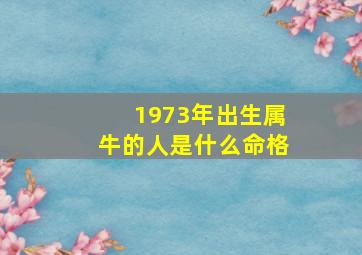 1973年出生属牛的人是什么命格