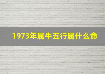 1973年属牛五行属什么命