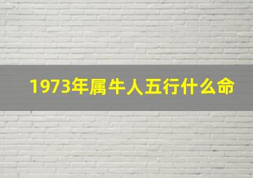 1973年属牛人五行什么命