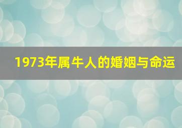 1973年属牛人的婚姻与命运