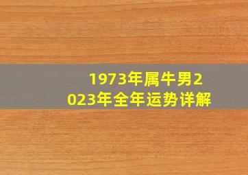 1973年属牛男2023年全年运势详解