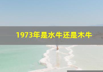 1973年是水牛还是木牛