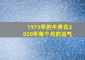 1973年的牛男在2020年每个月的运气