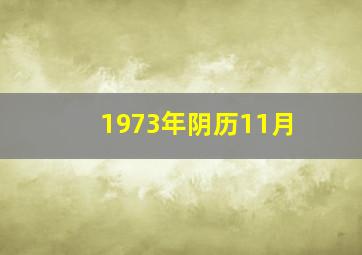 1973年阴历11月