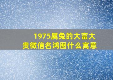 1975属兔的大富大贵微信名鸿图什么寓意