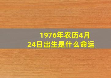 1976年农历4月24日出生是什么命运