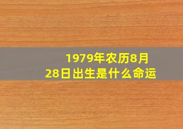 1979年农历8月28日出生是什么命运