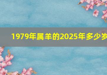 1979年属羊的2025年多少岁