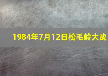 1984年7月12日松毛岭大战