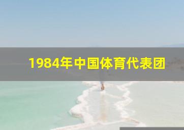 1984年中国体育代表团