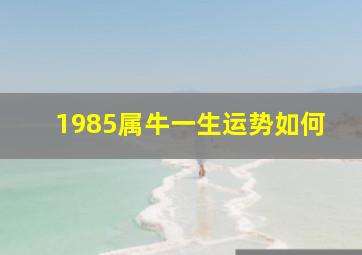 1985属牛一生运势如何