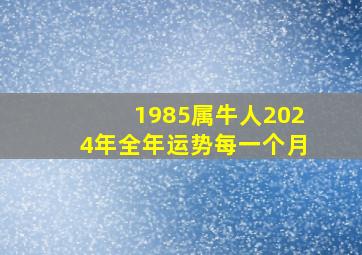 1985属牛人2024年全年运势每一个月