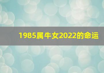 1985属牛女2022的命运